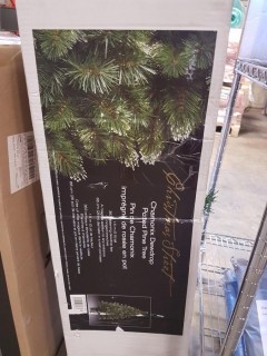 Christmas Street Chamonix Dewdrop Potted Pine Tree 5ft