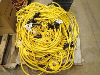 Lot of Pronghorn String Lights. 