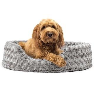 Archie & Oscar Ernie Ultra Plush Oval Pet Bed with Removable Cover (AOSC1571_31178441_31178445) - Grey - XL