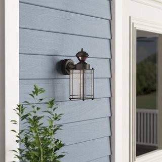 Alcott Hill Nordmeyer 1-Light Outdoor Wall Lantern (ACOT4176_21259618) - Blk