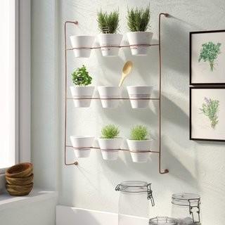 Gracie Oaks Wolter Wash Clay Wall Planter IVP2652)
