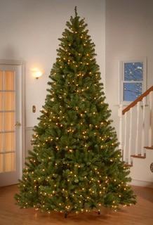 Beachcrest Home Green Spruce Trees Artificial Christmas Tree with 550 Incandescent Clear/White Lights (BCHH4218_24260270) - 7.5'