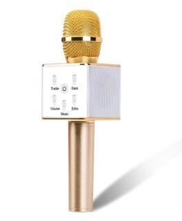 Hype Wireless Karaoke Microphone-Gold- As Is