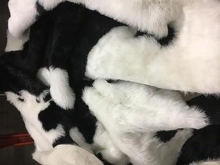 7' x 5' Luxe Faux Fur Rug - Blk/White
