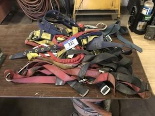 Lot of Asst. Safety Harnesses **LOCATED IN EDMONTON** 