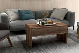 Union Rustic Jacques Smart Lift Top Coffee Table (TNDA1010_34194315)-Brown