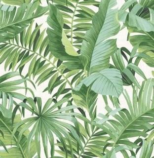 Solstice Tropical Leaf Green Fine Decor Wallpaper-FD24136-53cm x 10m- 2 Rolls
