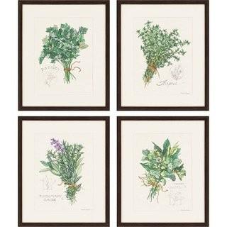 One Allium Way 'Herbs' 4 Piece Framed Graphic Art Set (OAWY5998)-Individual:23'' H x 19'' W x 2'' D