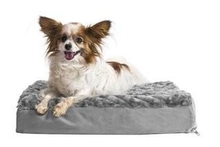 Archie & Oscar Ernie Ultra Plush Deluxe Ortho Pet Bed (AOSC1568_31178420_31178425)-Grey-(30" W x 20" D x 3" H)