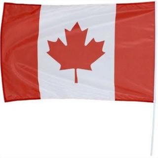 (5) CANADIAN FLAGS 2FT' X 3FT' WITH WHITE PLASTIC POLE-CB12-2061