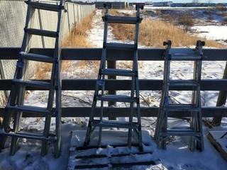 Werner 17' Multi-Function Ladder