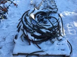 Lot of Assorted lengths of Extension Cords