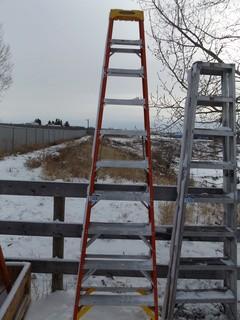 Werner 10' Fiberglass Step Ladder
