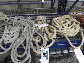 Lot of  (4) Misc. Rope Lifelines