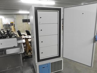 Thermo Scientific Forma 7000 Series -40 Degree Celsius Low Temp Freezer