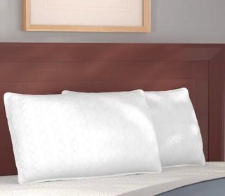 Alwyn Home Down and Feathers Pillow (ANEW2820_24165796)-King-2 pack