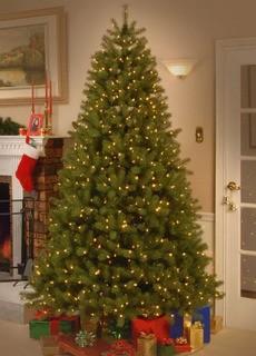 Lark Manor Feel Real Down Swept Green Fir Artificial Christmas Tree with Stand 6.5ft. (THLA1645_34228802)