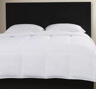 Alwyn Home Goose All Season Down Alternative (ANEW1340_21189428)-Twin