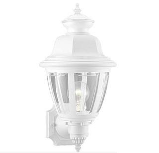 Darby Home Co Deasia 1-Light Outdoor Sconce (DBHM8579_24443418)-White