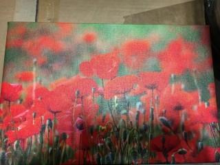 Poppy Field On Canvas 8x12"