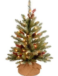 Laurel Foundry Modern Farmhouse 2' Green Fir Artificial Christmas Tree with 15 LED White Lights (LRFY8025)