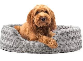 Archie & Oscar Ernie Ultra Plush Oval Pet Bed with Removable Cover (AOSC1571_31178440_31178445) Grey,26x21"