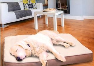 Tucker Murphy Pet Valentina Cool Pet Mat (TKMP3739) Beige  44x35"