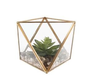 Mistana Desktop Succulent Plant in Glass Terrarium (BGRS7038)