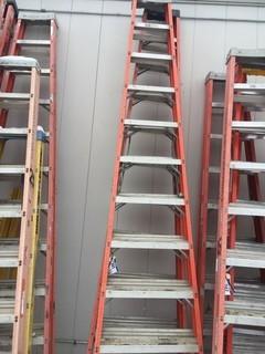 (2) 12' Fiberglass/Aluminum Step Ladders