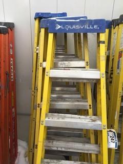 (5) 6' Fiberglass/Aluminum Step Ladders