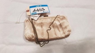 Nina Champagne Color Ladies Clutch Purse
