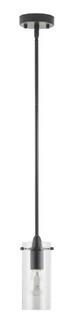 Greyleigh Plattsmouth 1-Light Cylinder Pendant (GRYL4488_33391535_33391540)Black