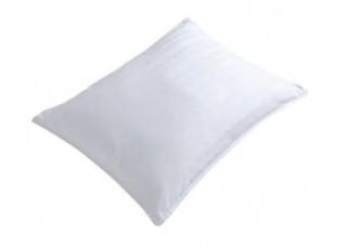 I Am Stomach Sleeper Soft/Medium Support Pillow, Standard -Display