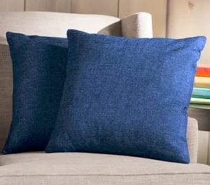 Charlton Home Boutin 2 Throw Pillows (WFBS1164_20834761)Navy Blue 16x16"