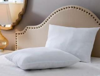 Wayfair Basics Medium Pillow, Set Of 2