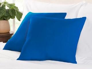 Wayfair Basics 2 Blue Throw Pillows 19x19" 