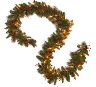 National Tree 9 Foot by 10 Inch Crestwood Spruce Garland with