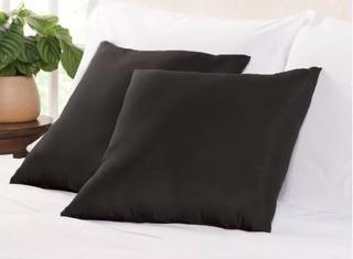 Wayfair Basics 2 Black Throw Pillows 18x18"