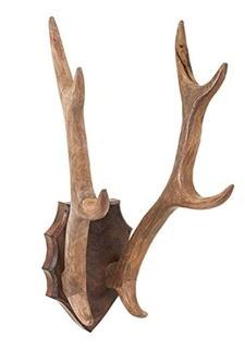 Ophelia Wood Antler Mount