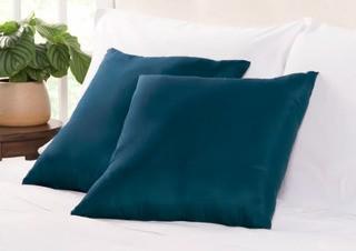 Wayfair Basics Throw Pillow, Navy 19x19"