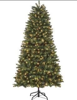 12ft. Townsend Fir Pre Lit LED Tree