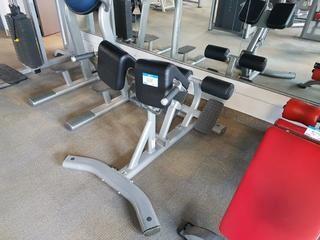Life Fitness SBE-H102-102 Ab Bench