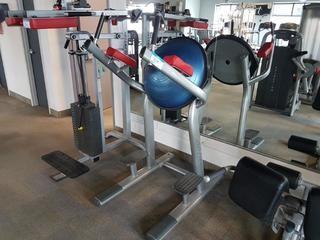Life Fitness Ab Curl Stand