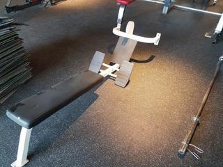 LifeFitness Rower Bench (parts)