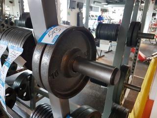Pair of 10 lbs weights