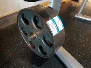 Pair of 45 lbs weights