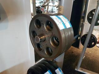 Pair of 25 lbs weights