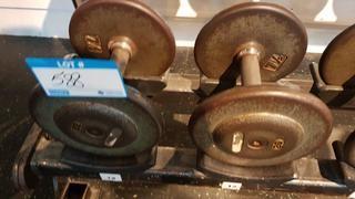 Pair of 20 lbs Dumbbells