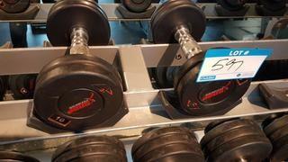 Pair of 10 lbs Dumbbells