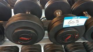 Pair of 45 lbs Dumbbells